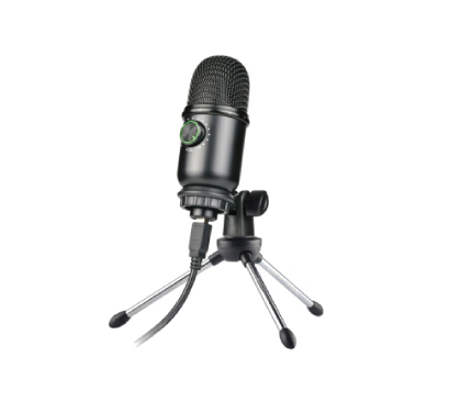 Microphone 09