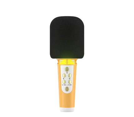 Microphone 01