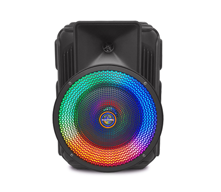 Loudspeaker box 12