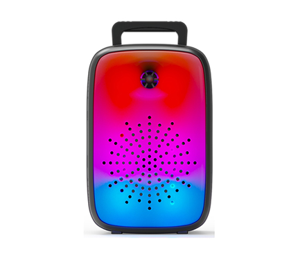 Loudspeaker box 25