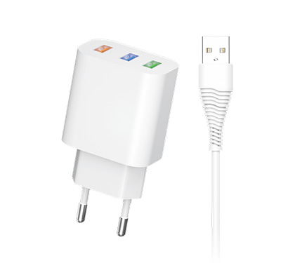 LeTang LT-TZ-36 2.4A 3usb Euro charger set